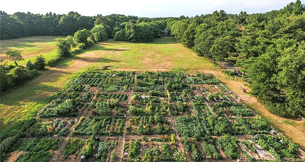 Medfield Community Garden registration opens