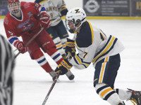 Hawks stunned in South semifinals