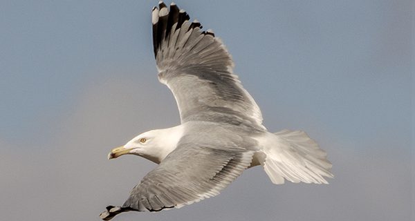 Local hotspot attracts out-of-towners