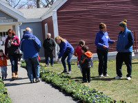 Needham celebrates annual Pansy Day