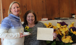 A new take on Needham history