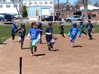 A home run for tee ball parents