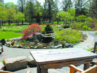 Elm Bank beckons anew