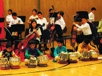 Wellesley Multicultural Festival expands worldviews