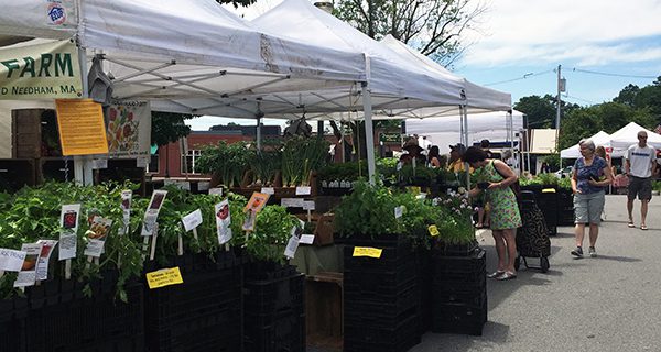 Farmers Market opening May 27