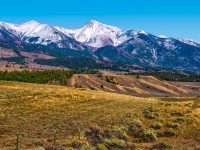 Advanced photography program seeks feedback