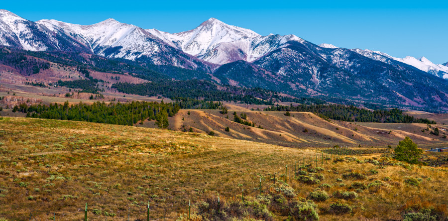 Advanced photography program seeks feedback