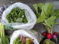 Farm share program up and running