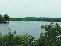 Morses ode: Wellesley pond a jewel