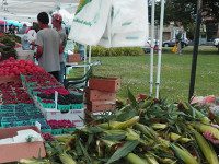 Farmers Market hits mid-summer stride
