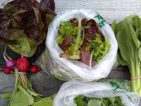 Farm share program up and running