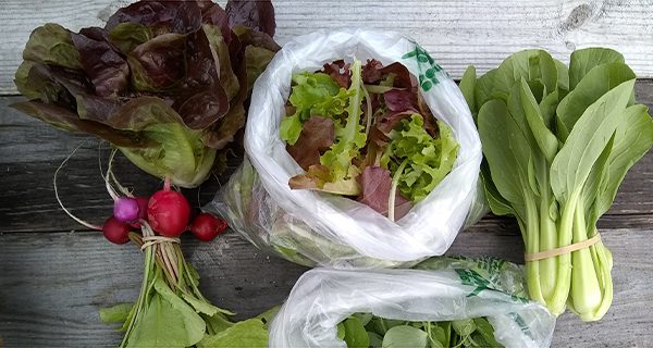 Farm share program up and running