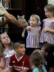 A little girl shares a moment with a chinchilla. Photos by Daniel Curtin