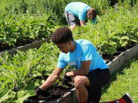 Project VAN volunteers give back