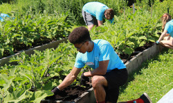 Project VAN volunteers give back