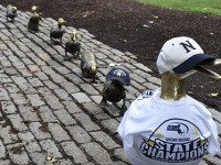 Celebrating the Rockets