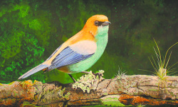 Nelson Hammer exhibiting in Wellesley