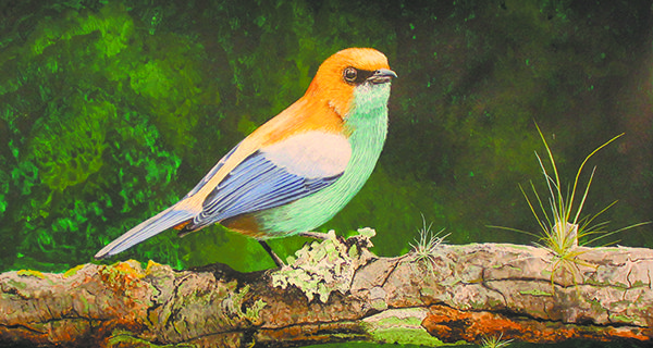 Nelson Hammer exhibiting in Wellesley