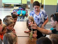 Vet school program delights Walpole youth