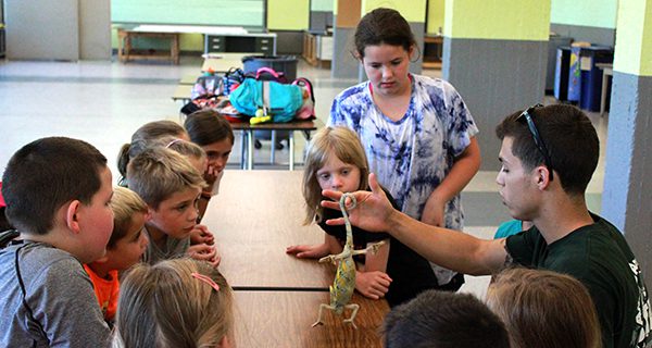 Vet school program delights Walpole youth