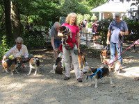Rescue dogs bark, bay at Borderlands