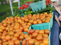 Food, friends and fun at Farmers’ Market