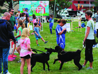 The Dover Days of our lives