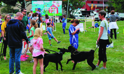 The Dover Days of our lives