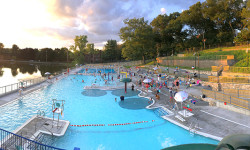 A dash of Rosemary in Needham