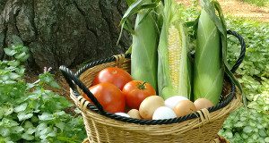 IMG_eggs and veggies