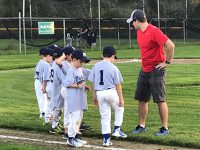 Medfield fall baseball in full swing