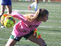 Varriale, Wolverine girls outlast Shue, Raiders