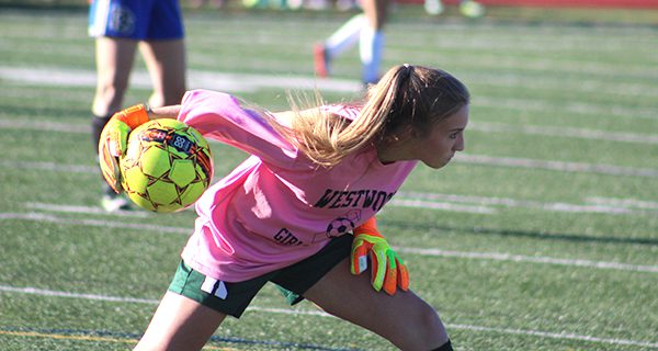 Varriale, Wolverine girls outlast Shue, Raiders