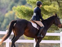 Dover’s Kocher setting records at Dartmouth