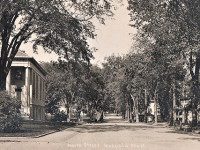 This Old Town: Medfield’s Tree Culture