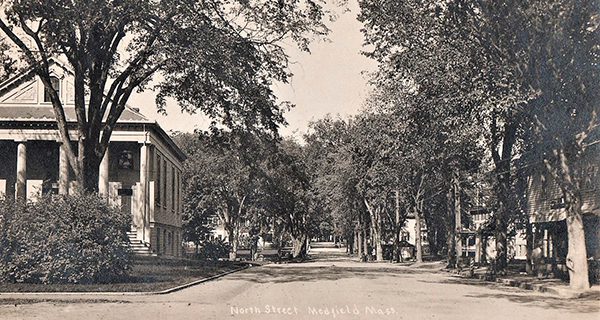 This Old Town: Medfield’s Tree Culture