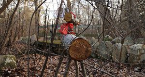 Over a bridge and behind a stream hides one reindeer.