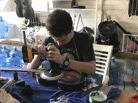 Dover’s Collins makes music