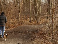 Cutler Park, hidden in plain sight