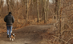 Cutler Park, hidden in plain sight