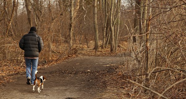 Cutler Park, hidden in plain sight