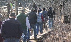 Walpole’s New Year hike for all