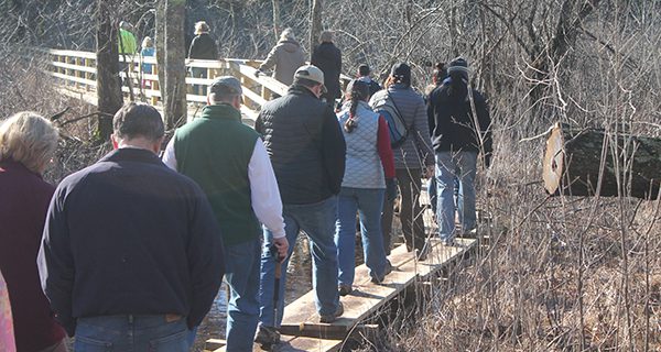 Walpole’s New Year hike for all