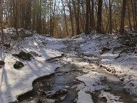 Noon Hill rises by winter