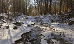 Noon Hill rises by winter