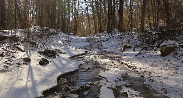 Noon Hill rises by winter