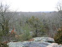 A hidden world in the heart of Wellesley