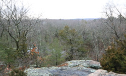 A hidden world in the heart of Wellesley