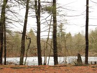 Noanet Woodlands a messy joy in winter