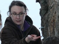 Wellesley kids learn about maple syrup